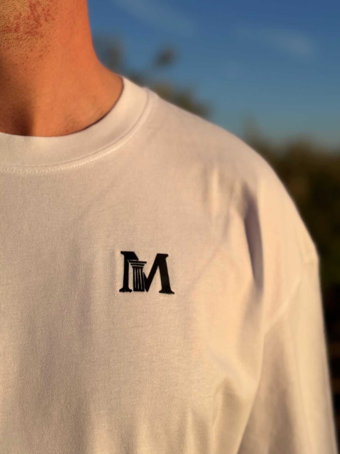 PRECOMMANDE - LE MAQUISARD